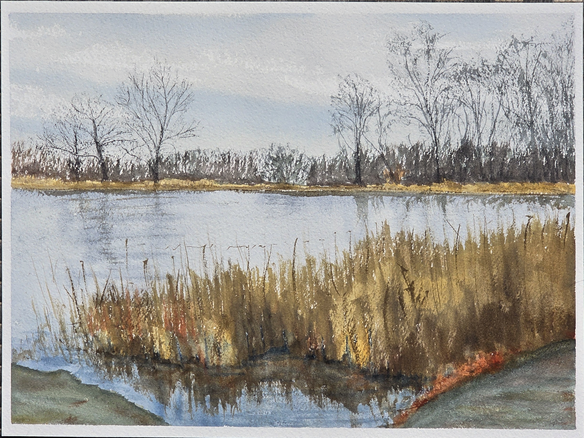 Mount Hope Farm Pond