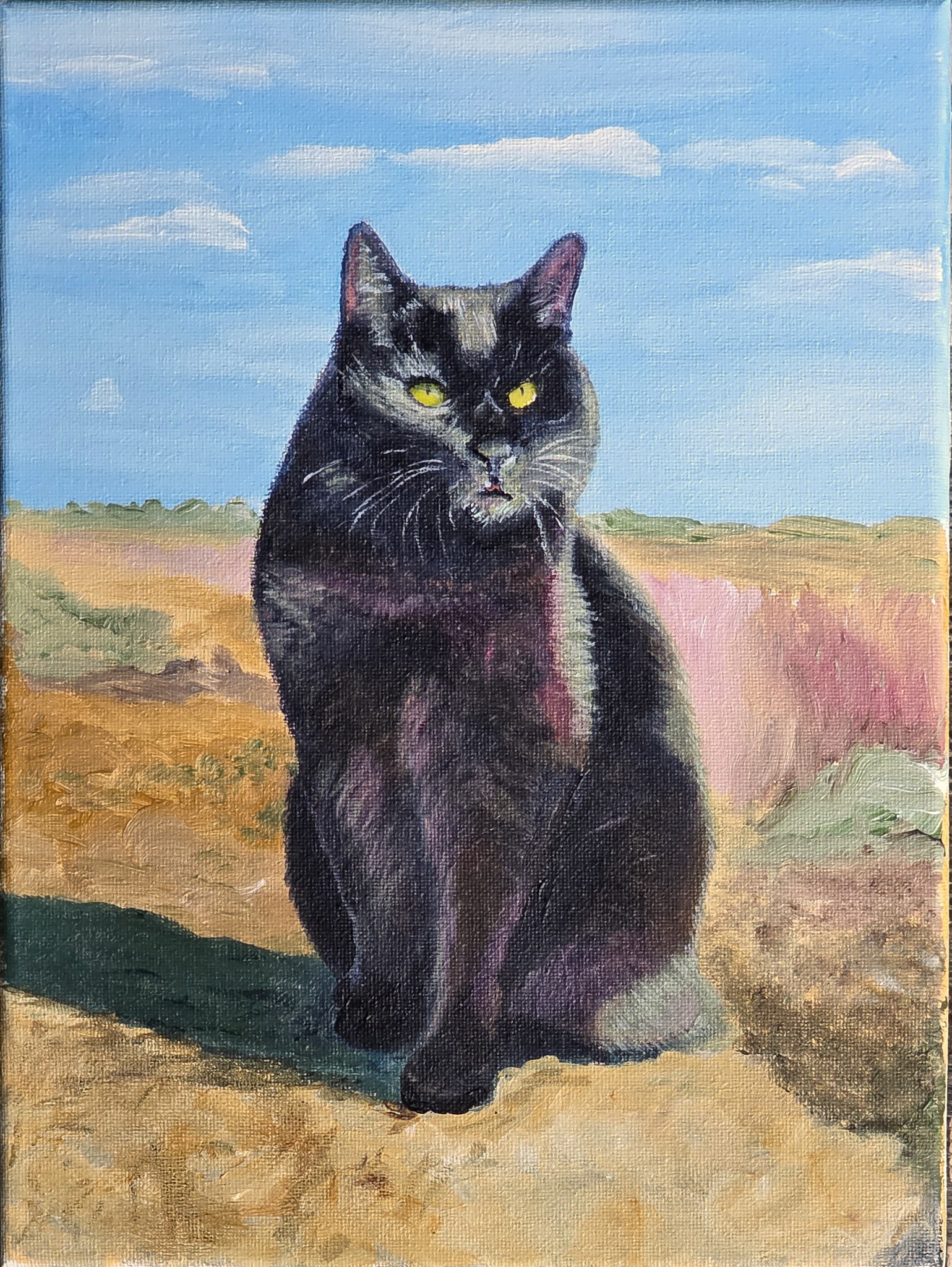 Cat - Jupiter